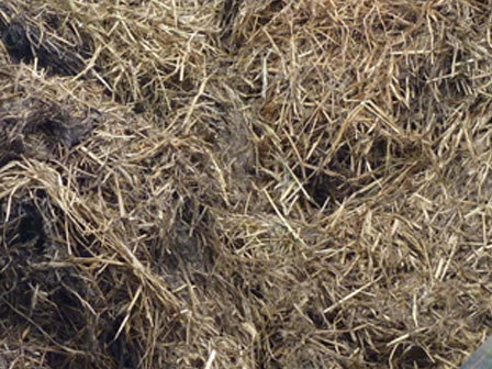 grass silage