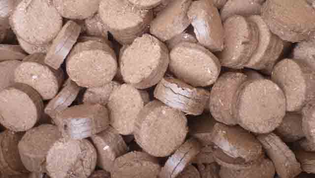 briquetted wood biscuits